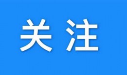 名星财林爆料最新消息,娱乐圈最新动态大揭秘！