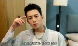 狗崽爆料王鹤棣视频播放,王鹤棣视频播放背后的故事揭秘