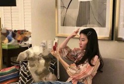 关之琳厨师爆料了吗视频,揭秘娱乐圈背后的美食秘密